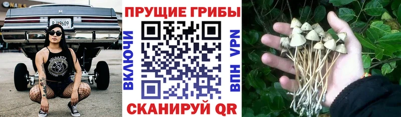 Псилоцибиновые грибы GOLDEN TEACHER  мега ТОР  Петухово 